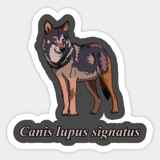 Iberian wolf Sticker